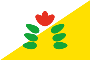 Bandera de Tabasco