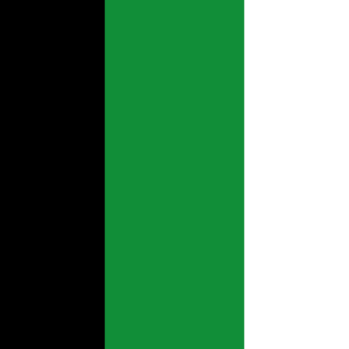 Banderas del Noreste