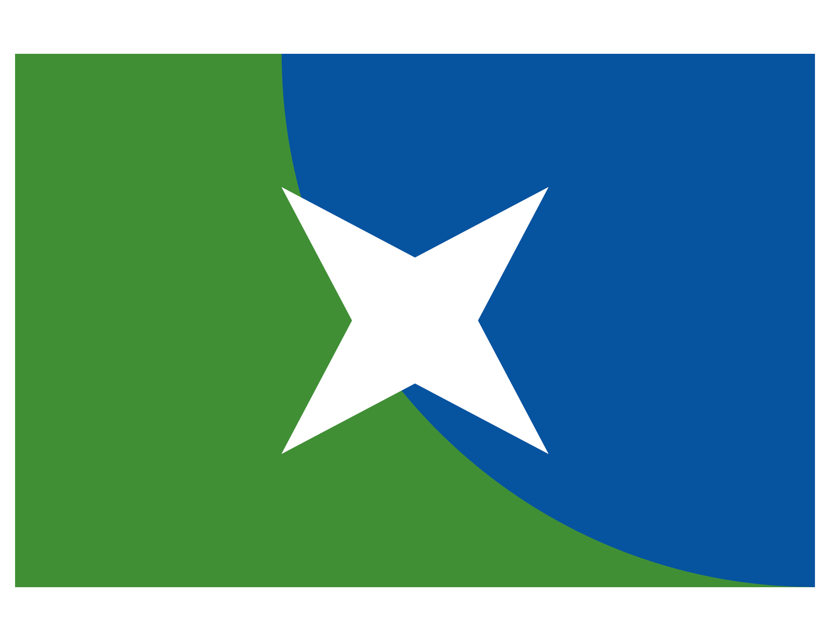 Bandera de Veracruz