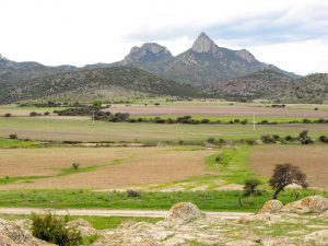El Picacho