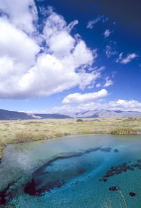 Poza Azul en Cuatrociénegas