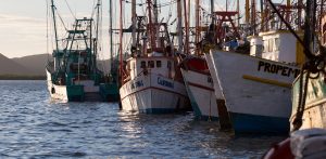 Barcos pesqueros en Topolobampo