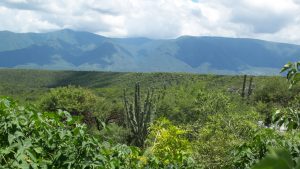 Sierra Madre Oriental en Tamaulipas